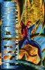 PETER CANNON THUNDERBOLT OMNIBUS VOL 01 TP [9781606905883] **PROMOCJA SUPER SALE**